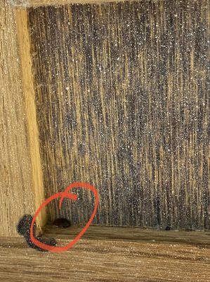 FLAMINGO MOTEL AND TOWER - 61 Photos & 26 Reviews - 15525 Front Beach