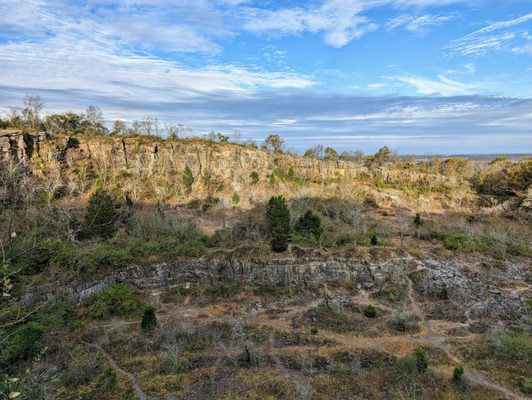 Ruffner Mountain by null