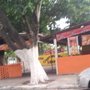 Photo of Churrascaria Sabor & Cia