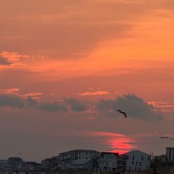 Ocean Reef Vacation Rentals & Real Estate