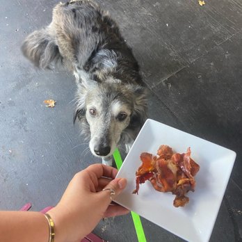 TASTE! Craft Eatery - Paso Robles - A snack for my furry friend - Salad Near Me - Paso Robles, California TASTE! Craft Eatery - Paso Robles - A snack for my furry friend - Salad Near Me - Paso Robles, California