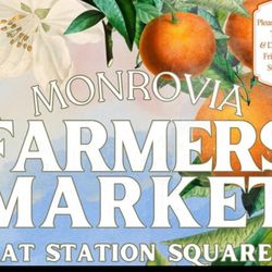 Farmers Market Saturday - Every Saturday at Station Square - come have breakfast - local produce and baked goods.