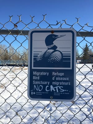 Inglewood Bird Sanctuary by null