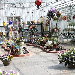 Country Blossoms Greenhouse