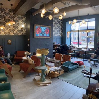 Catzen Coffee - Cat lounge - Coffee & Tea Near Me - Saint Paul, Minnesota Catzen Coffee - Cat lounge - Coffee & Tea Near Me - Saint Paul, Minnesota