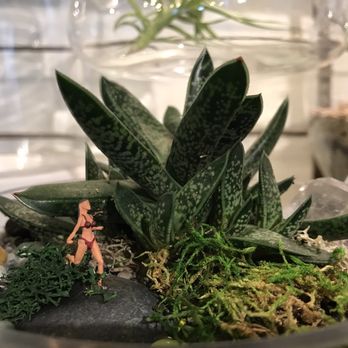 Potted - Home Decor Near Me - Los Angeles, California