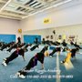 Photo of Thunder Kung Fu Academy