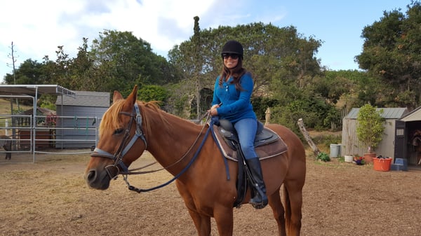 Santa Barbara Beach Horseback Rides 101 Photos 72 Reviews Santa Barbara Beach Horseback Rides