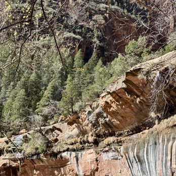 Zion National Park - Parks Near Me Zion National Park - Parks Near Me