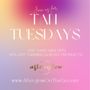 Photo of Afterglow On The Go