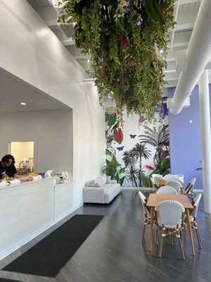 Bom Dia Treats by null