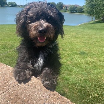 PetSmart - Pet Groomers Near Me - Aurora, Illinois