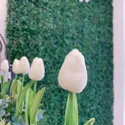 Butter Beauty Boutique