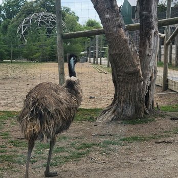 Aikman Wildlife Adventure - Parks Near Me - Arcola, Illinois Aikman Wildlife Adventure - Parks Near Me - Arcola, Illinois