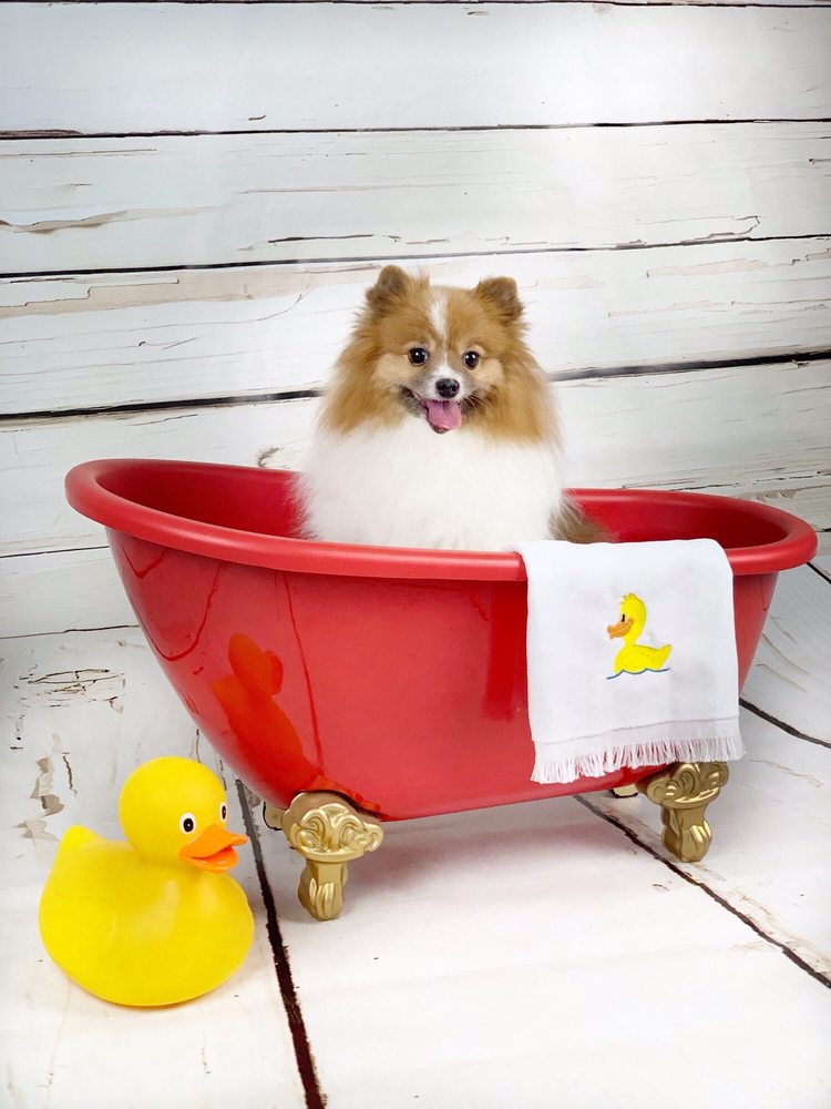 MARY’S BED AND BISCUIT 13 Photos 2320 Carey St, Slidell, Louisiana