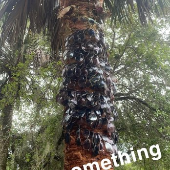 Rainbow Springs - Parks Near Me - Dunnellon, Florida Rainbow Springs - Parks Near Me - Dunnellon, Florida