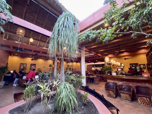 Ajijic Tango by null