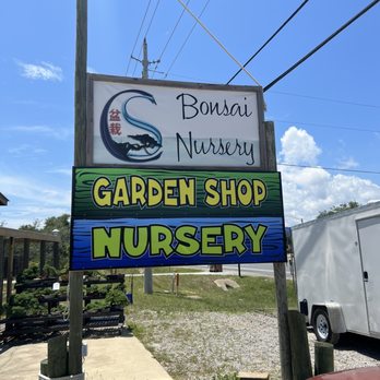 Sailfish Coastal Bonsai Nursery - Nurseries & Gardening Near Me - Navarre, Florida Sailfish Coastal Bonsai Nursery - Nurseries & Gardening Near Me - Navarre, Florida