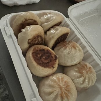 Tasty Dumpling - 8 Pan Fried Bao(beef) - Chinese Near Me - Falls Church, Virginia