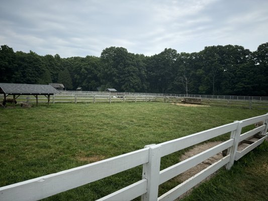 The Farm by null