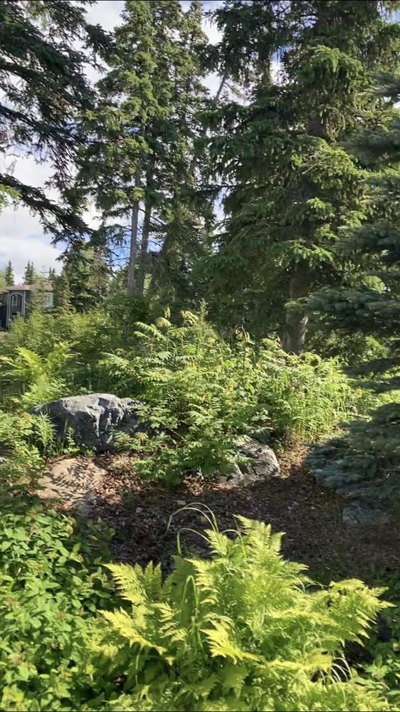 CJ’S LAWN MAINTENANCE 20 Photos Anchorage, Washington Lawn