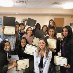 Brow Down - Training Course