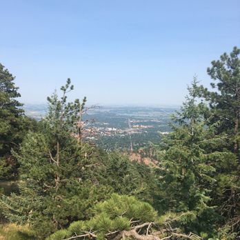Flagstaff Mountain - Boulder from Flagstaff Mountain - The image captures a scenic view from a mountain, with green pine trees in the foreground and a distant city visible on the horizon under a clear blue sky. The photo emphasizes natural elements and the expansive landscape. - Parks Near Me - Boulder, Colorado