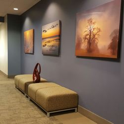 Wake Radiology