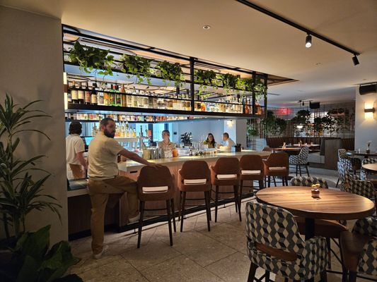 Corinne San Antonio by null