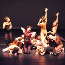 Ballet Academy - Cats 2014