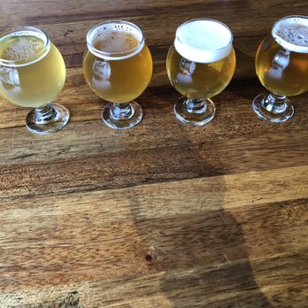Mountain Toad Brewing - Breweries Near Me - Golden, Colorado Mountain Toad Brewing - Breweries Near Me - Golden, Colorado