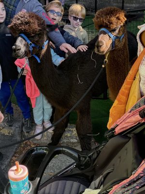 New Bern Farmers Market by null