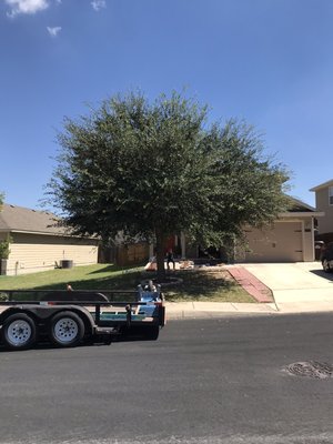 Call Us Now for Tree Service, Gutters and Fence Repair! - We now Service San Antonio, Texas! We Specialize with Tree Services and much more! Call Us Now for Tree Service, Gutters and Fence Repair! - We now Service San Antonio, Texas! We Specialize with Tree Services and much more!