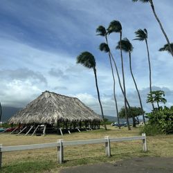 Hoaloha Park
