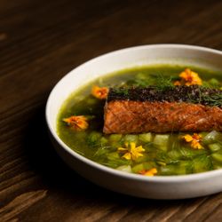 Willa - Hudson valley steelhead trout