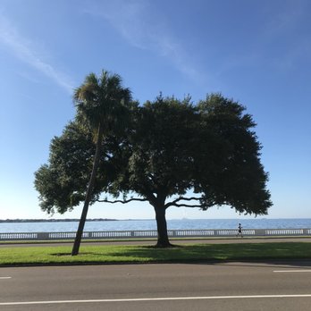 Bayshore Linear Park Trail - Parks Near Me - Tampa, Florida Bayshore Linear Park Trail - Parks Near Me - Tampa, Florida