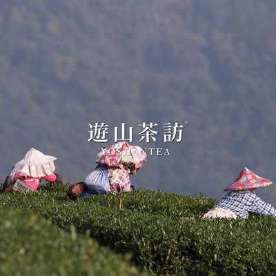 Yoshan Tea by null