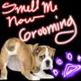 Photo of Smell Me Now
