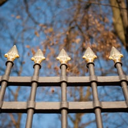 Günthersburgpark - Das Gitter mit den goldenen Spitzen