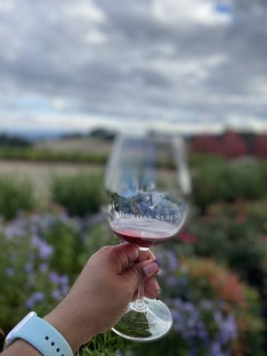 Domaine Serene Winery by null