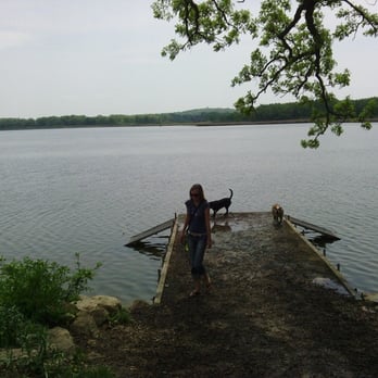 Yahara Heights / Cherokee Marsh - Good thing it's not a close-up shot - Leo is a muddy beast here! - Dog Parks Near Me - Waunakee, Wisconsin