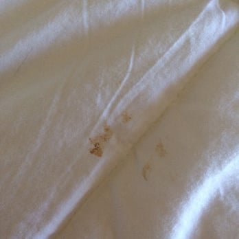 Comfort Inn & Suites - I saw a spot on my sheet/comforter and kindly asked them to change it while I was away. found this when I came back. - Hotels Near Me - Muncie, Indiana Comfort Inn & Suites - I saw a spot on my sheet/comforter and kindly asked them to change it while I was away. found this when I came back. - Hotels Near Me - Muncie, Indiana