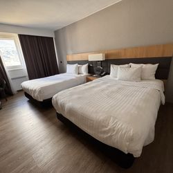 AC Hotel Innsbruck - Room