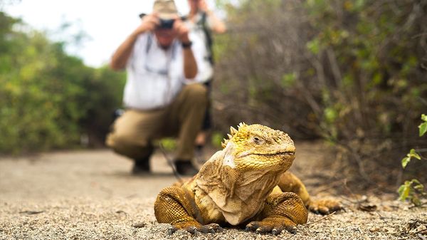 Quasar Expeditions by null