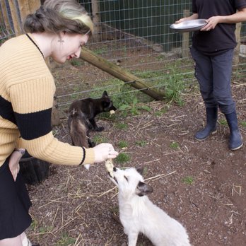 Wild Wills Animal Encounters - Zoos Near Me - Shropshire, SHR
