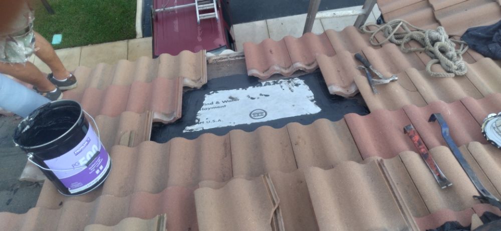 Slide of Bert the roofer