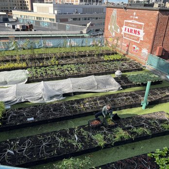 Fenway Park - Fenway Farms freshly grown produce - Stadiums & Arenas Near Me - Boston, Massachusetts