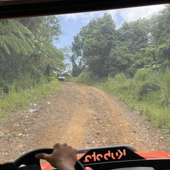 Hacienda Chocolat - Walking Tours Near Me - Fajardo, Puerto Rico