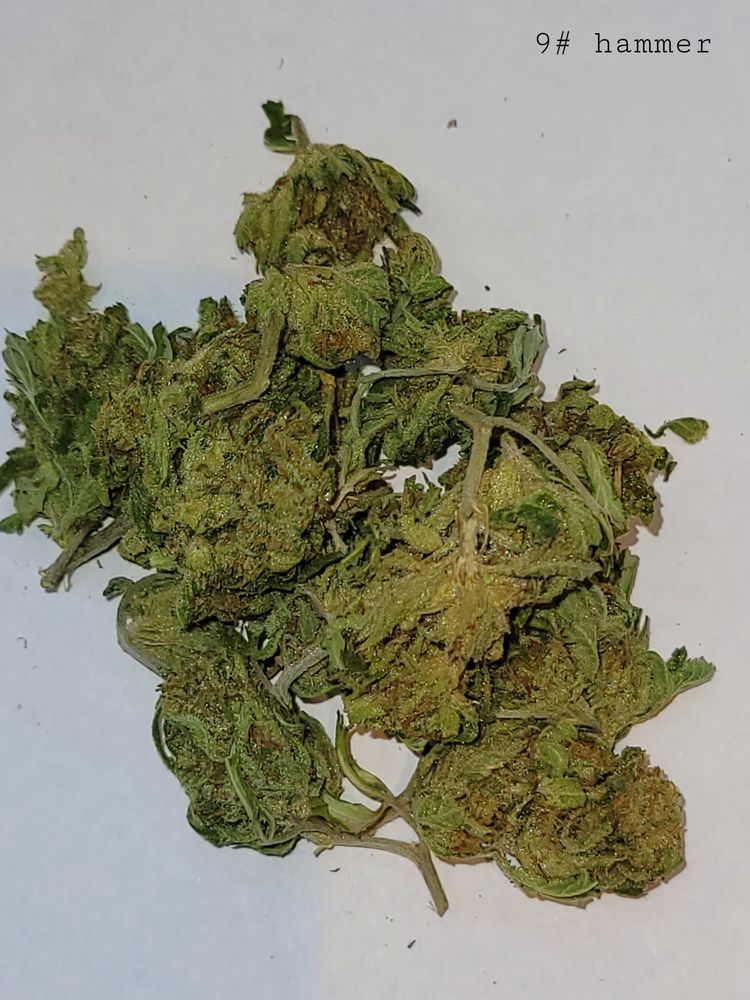 LINDZYS MED SUPPLY STATION Updated October 2024 1960 W Hemphill