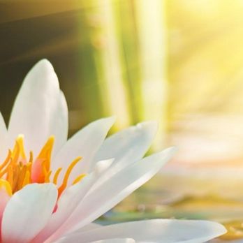 Cindy Muni Psychic Medium - Psychics Near Me - Wyckoff, New Jersey Cindy Muni Psychic Medium - Psychics Near Me - Wyckoff, New Jersey